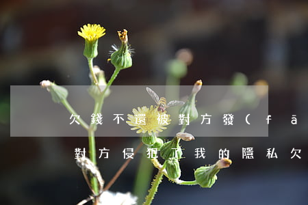 欠錢不還被對方發(fā)朋友圈曝光是否對方侵犯了我的隱私，欠錢不還被曝光在朋友圈，是否侵犯了個人隱私？